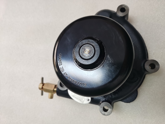 60016107 Pompa Air Assy D20-000-30 S00016322+03 Suku Cadang Asli