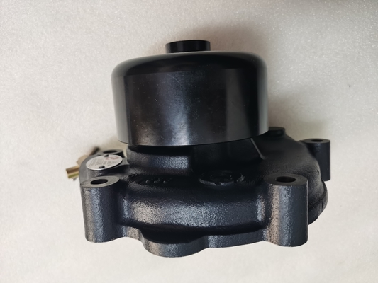 60016107 Pompa Air Assy D20-000-30 S00016322+03 Suku Cadang Asli